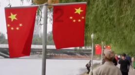 五彩蛇大作战
